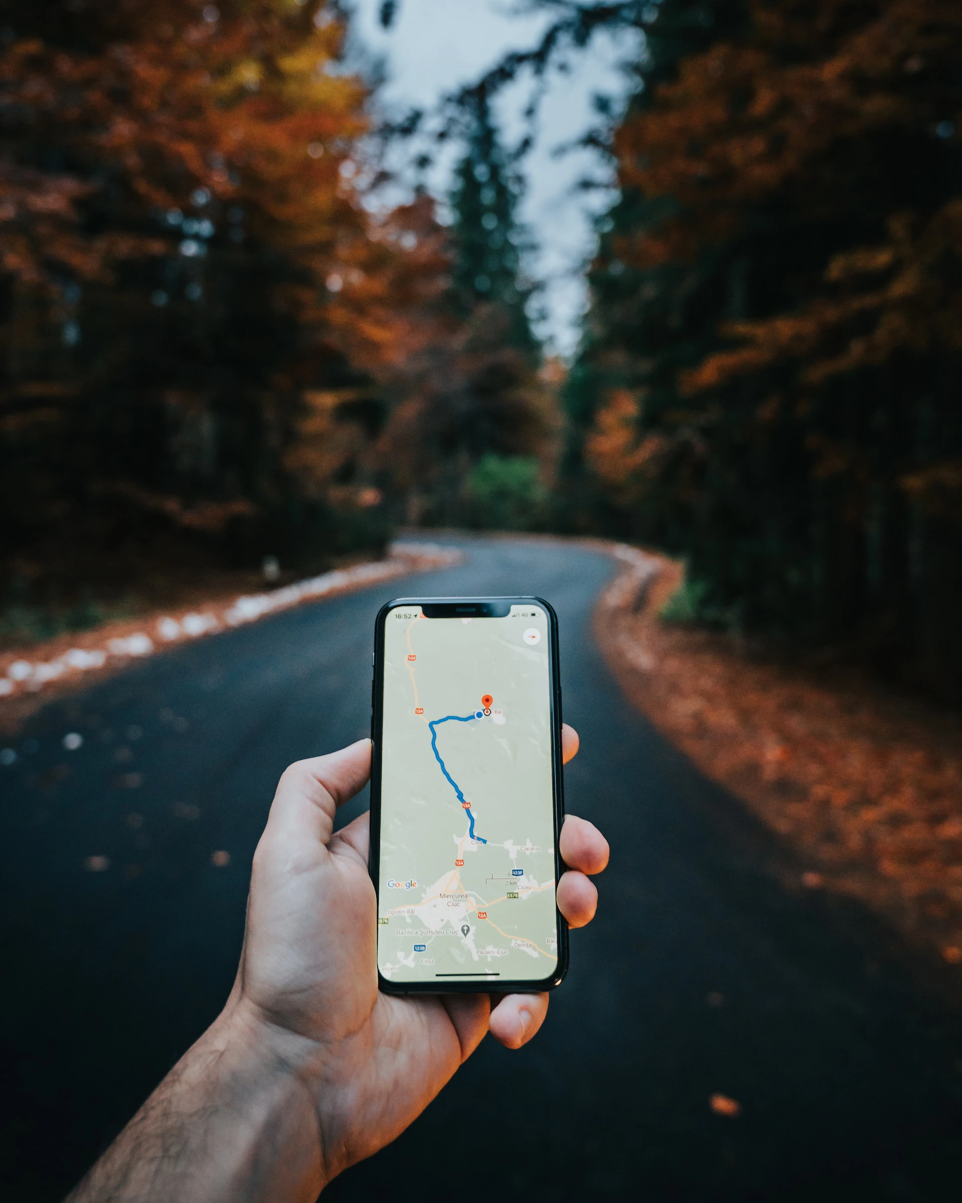 man holding phone and using GPS through a forest on a road