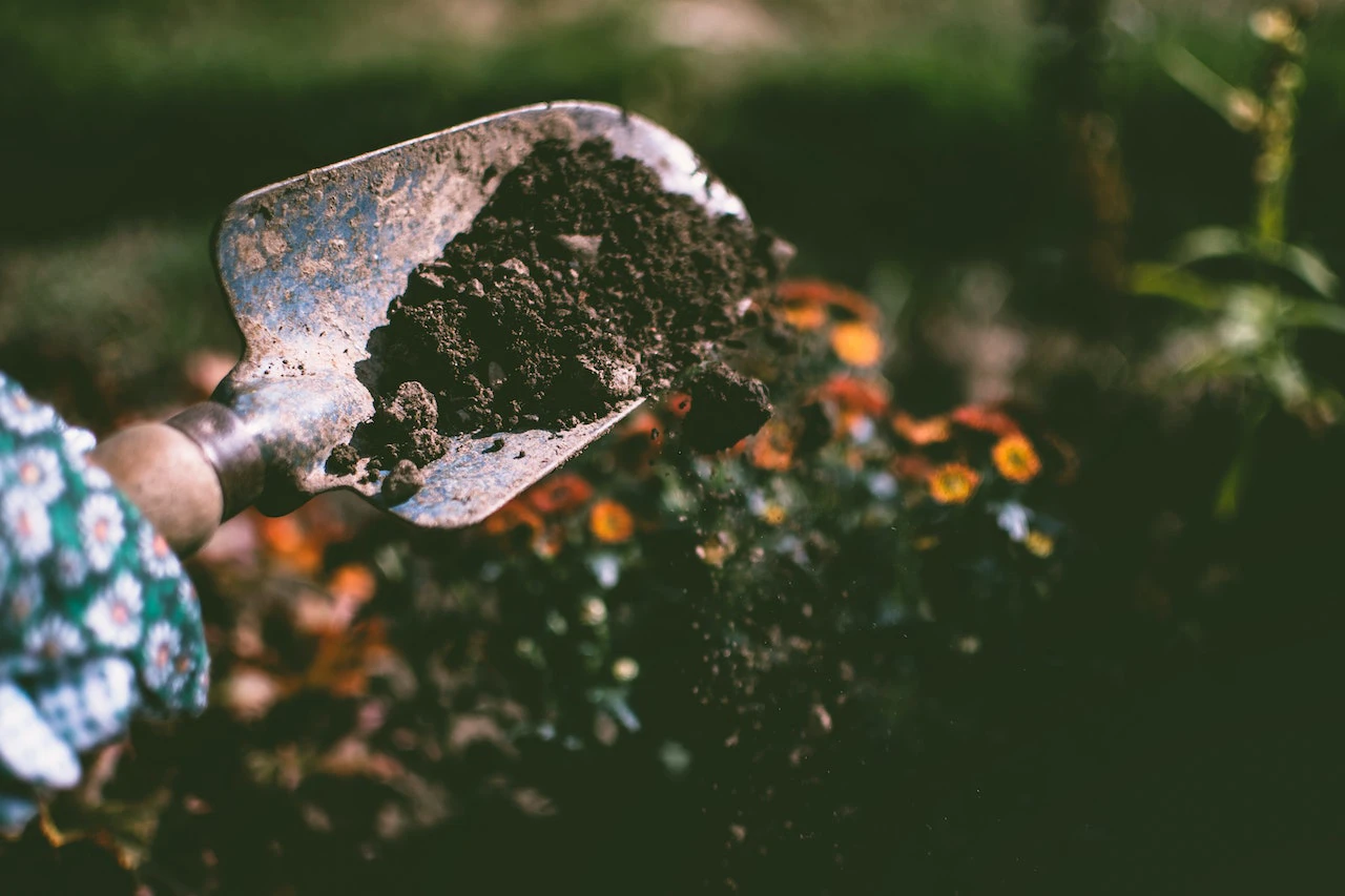 trowel with soil - nine ways to redice waste in your home