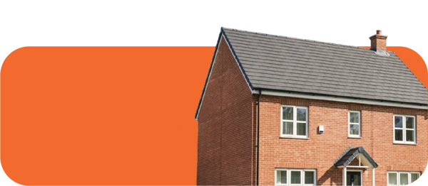 New Build Button@3X 8